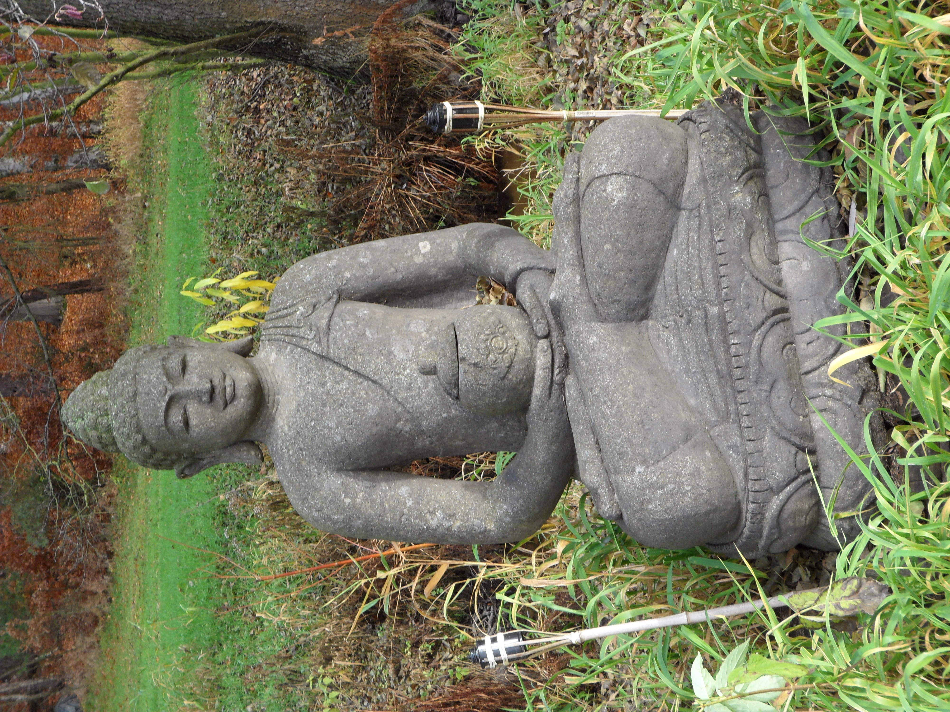 SAM_0317